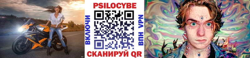 Галлюциногенные грибы Psilocybe  блэк спрут зеркало  Алушта 