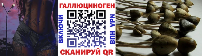 Галлюциногенные грибы мицелий Алушта