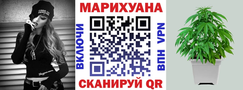 Бошки Шишки план  mega онион  Алушта  как найти наркотики 